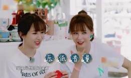 沈梦辰爆料杨紫吃醋视频,沈梦辰爆料视频引热议