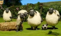 小羊没烦恼视频爆料大全,揭秘视频爆料大全精彩瞬间