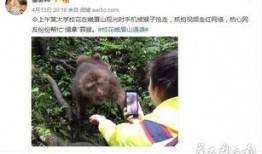 猴子视频爆料网站入口在线观看,独家入口带你在线观看最新爆料内容